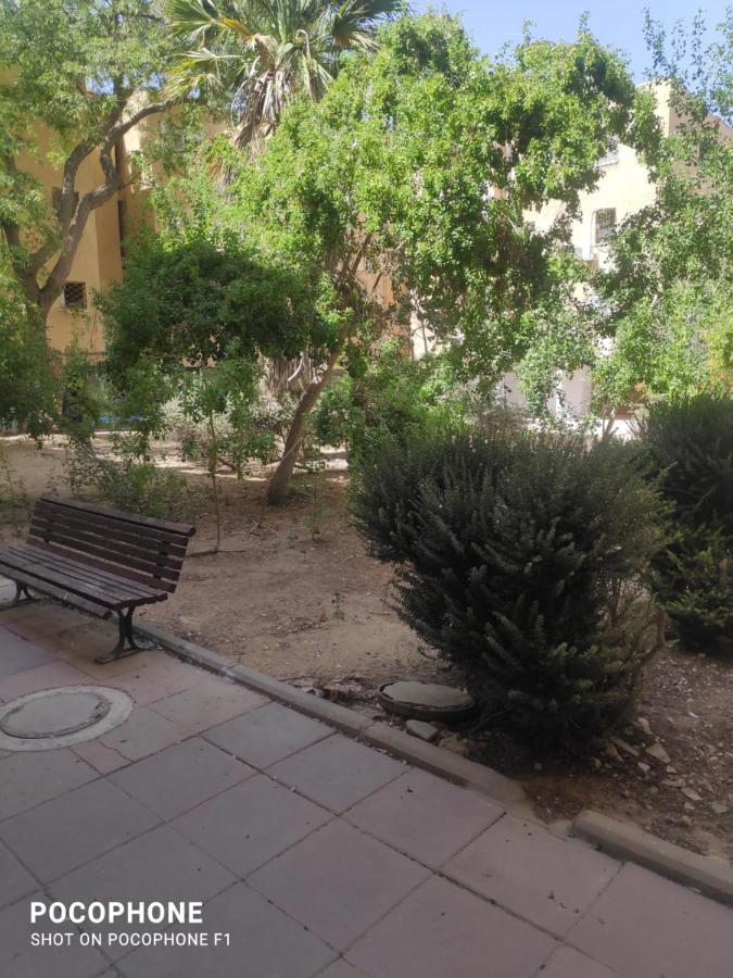 סוויטה של אלון Apartment Arad Bagian luar foto