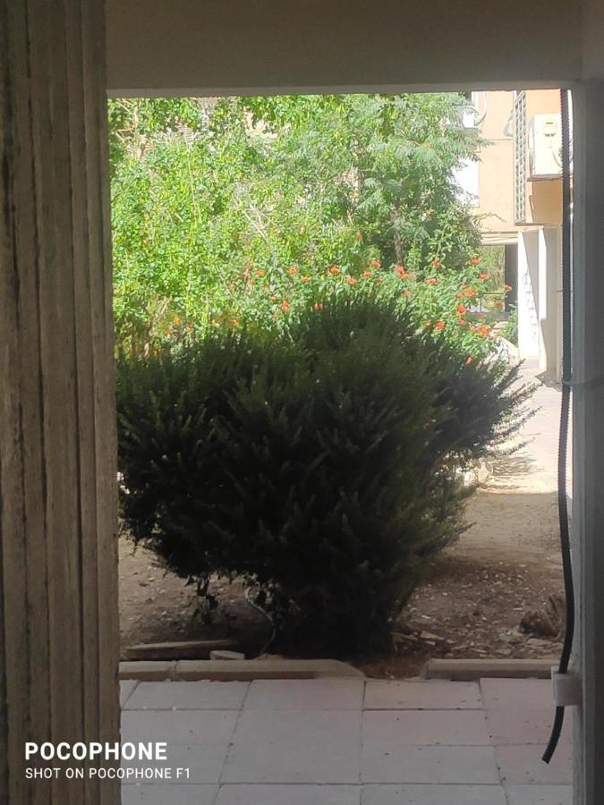 סוויטה של אלון Apartment Arad Bagian luar foto